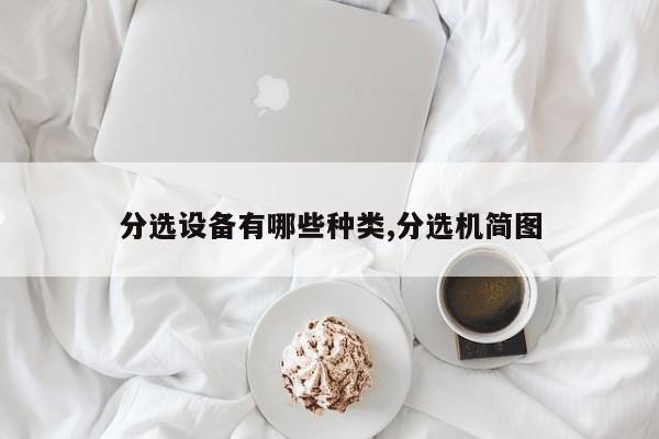 分选设备有哪些种类,分选机简图