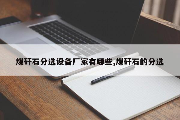 煤矸石分选设备厂家有哪些,煤矸石的分选